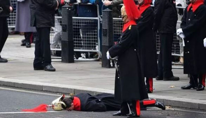 Kavaleri Rumah Tangga Ratu pingsan selama upacara Peringatan Hari Minggu