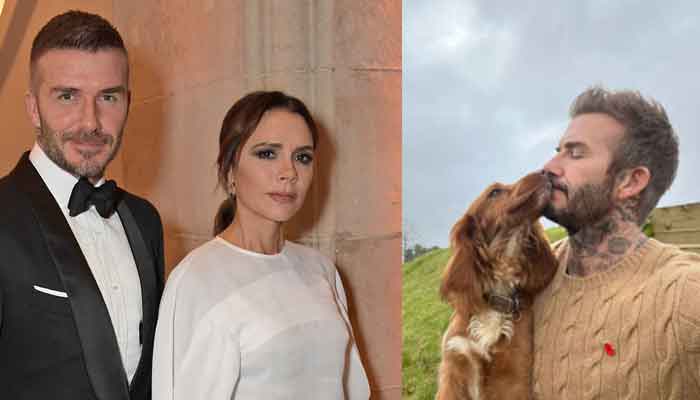 Victoria Beckhams hubby shares adorable snap with his pup