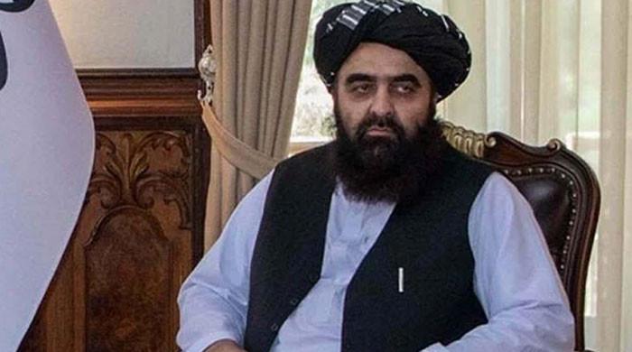 Kabul mediating between Pakistan govt and banned TTP, says Muttaqi