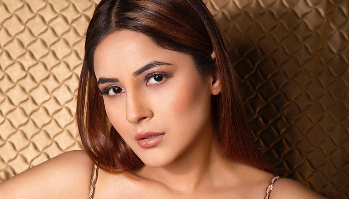 Shehnaaz Gill kembali ke media sosial setelah lagu 'Tu Yaheen Hai' dirilis