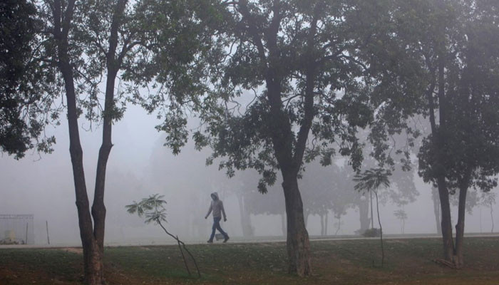 Lahore tersedak polusi udara dari transportasi