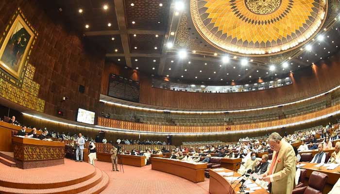 A view of the National Assembly.