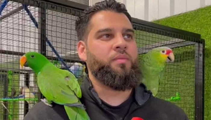 Abdul Sattar Hussain, 30, mengalihkan perhatiannya untuk menjual burung dari kandang di rumahnya selama penguncian pandemi COVID-19 di Inggris. Foto: Atas perkenan koresponden kami