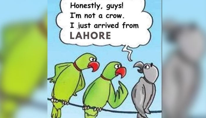 Netizen mencoba mengatasi situasi kabut asap yang suram di Lahore dengan meme