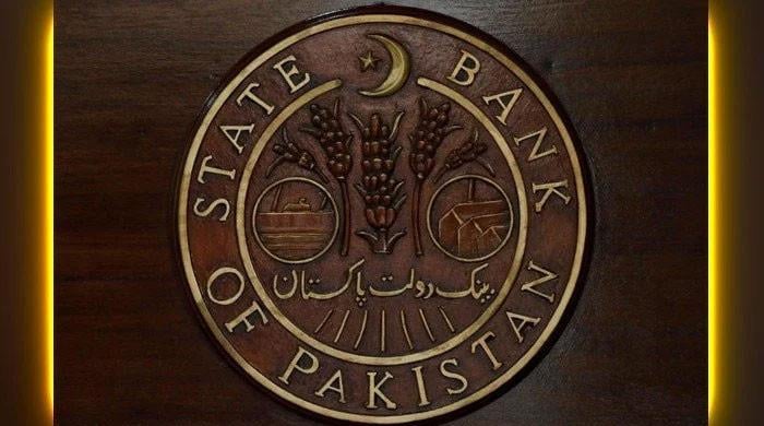 Banks get SBP warning for engaging in currency speculation: sources