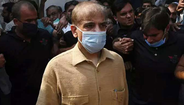 PML-N President Shehbaz Sharif. Photo: file