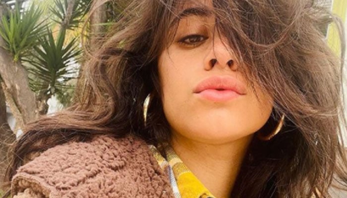 Camila Cabello embraces Shawn Mendes separation with ‘big excess fat dump’ put up