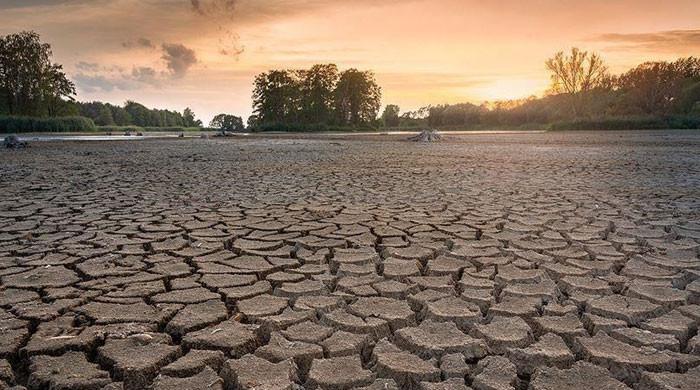 Will the top polluters - US and China - cooperate to fight climate change?