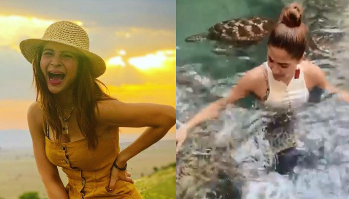 Ayesha Omar swims around turtles in Tanzania: Watch Video