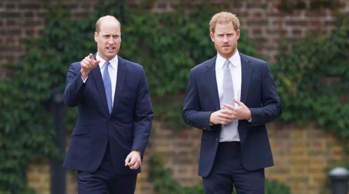 The Princes and the Press: Royals to boycott BBC over new documentary
