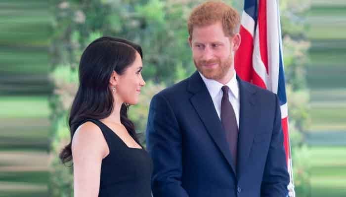 Prince Harry, Meghan Markle felt royal didnt suit them days after marriage