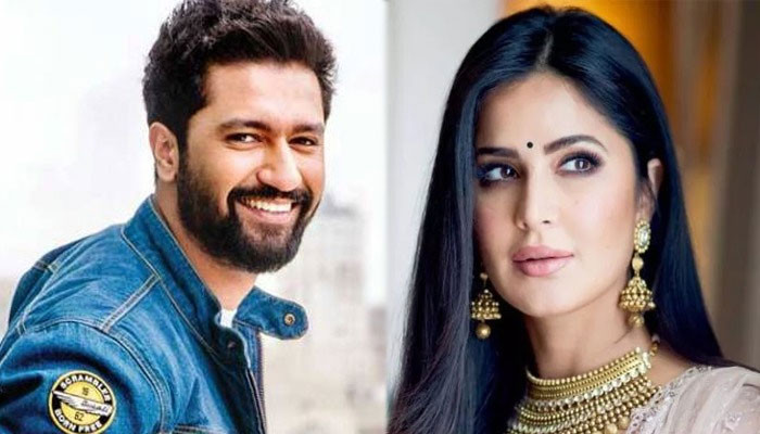 Vicky Kaushal's ex Harleen Sethi reacts to his rumoured wedding with Katrina Kaif - Vimarsana News