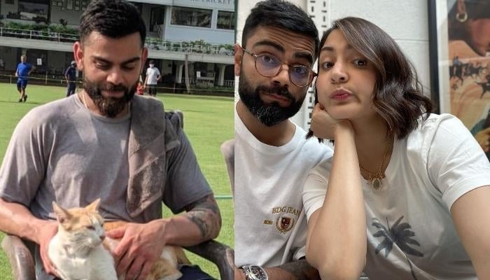 Virat Kohli shares adorable photo with cat, Anushka Sharma reacts