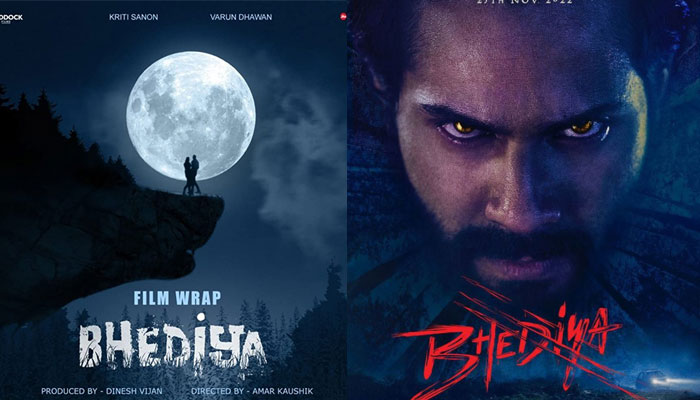 Varun Dhawan sets internet on fire with his intense glare in ‘Bhediya’s poster