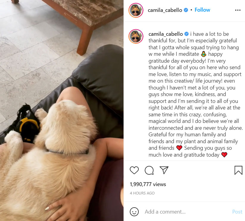 Camila Cabello berbicara tentang 'terima kasih' atas perpisahan Shawn Mendes