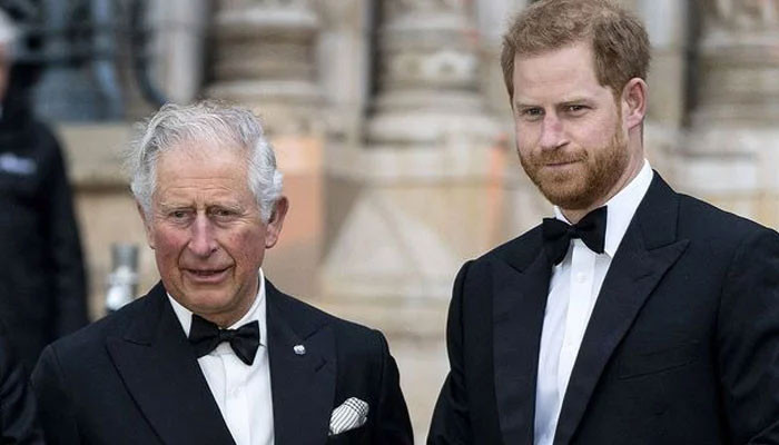Prince Harry steals Prince Charles’ spotlight with furious speech ...