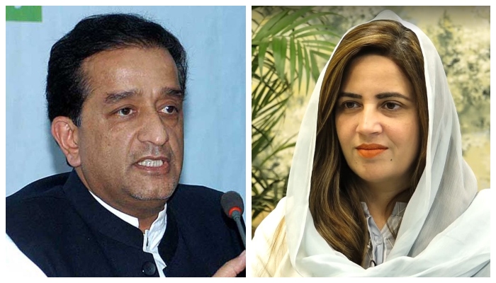 PMs Special Assistant on Climate Change Malik Amin Aslam (left) and Zartaj Gul Wazir (right). Photo: file