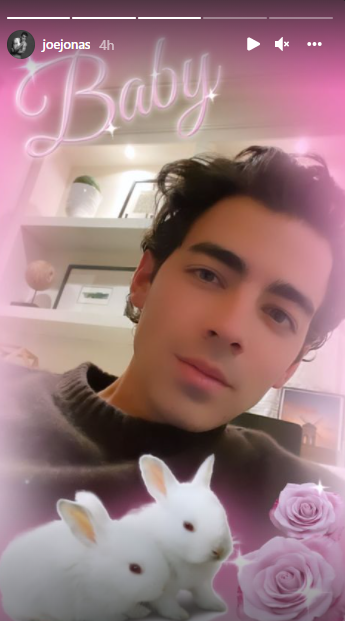 Joe Jonas dons a Turkey hat as he kick-starts Thanksgiving celebrations