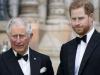Prince Harry steals Prince Charles’ spotlight with furious speech against media