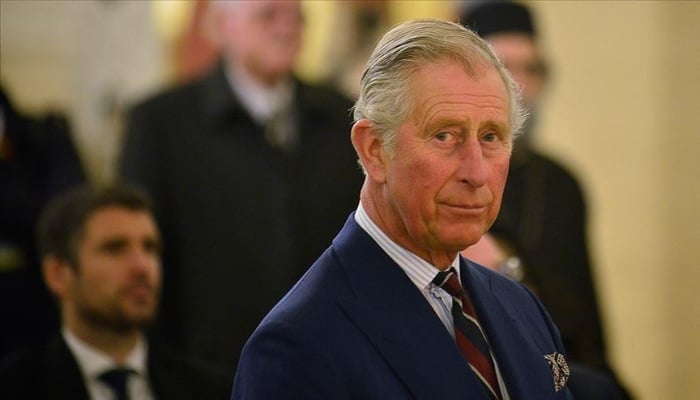Charles was earlier accused of raising concerns over Archies skin colour in new book