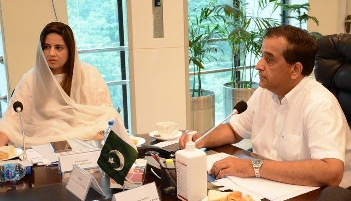 PMs Special Assistant on Climate Change Malik Amin Aslam (left) and Zartaj Gul Wazir (right). Photo: file