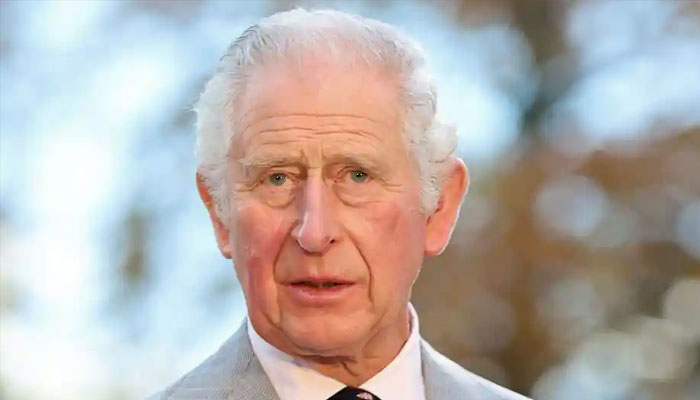 Prince Charles alleged inquiry about Archie’s skin colour dubbed fiction
