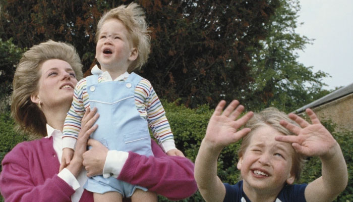 Pangeran Harry, William membantah konseling duka setelah kematian Putri Diana