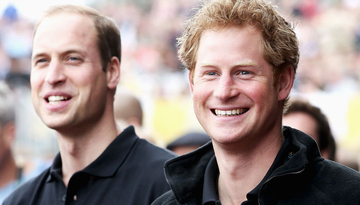 Prince William, Prince Harry agreed to drop tensions for PR move: report