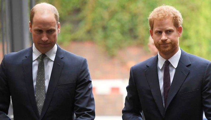 Prince Harry, William’s ‘sidebar soap opera’ threaten to ‘overshadow’ the Firm