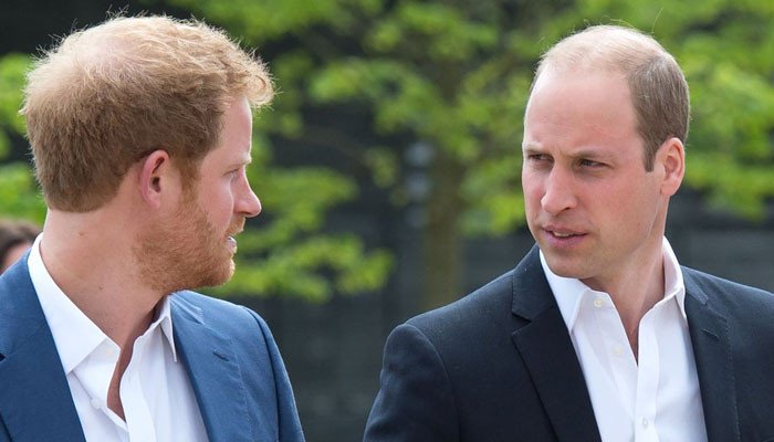 Pangeran William percaya Harry ‘berlebihan’ terhadap warna kulit Archie