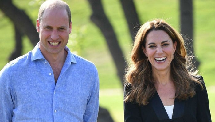 Prince William, Kate Middleton planning olive branch to Harry, Meghan Markle: report