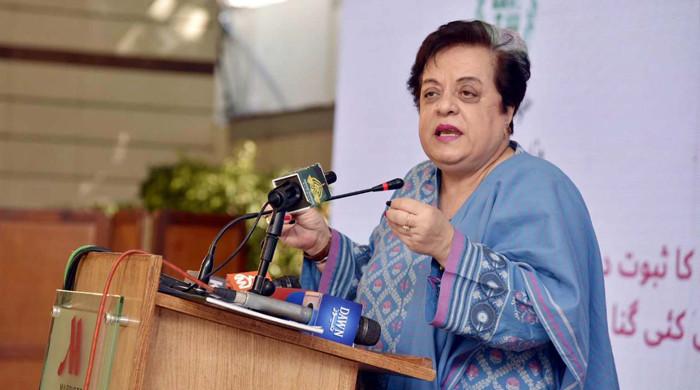 Govt will have to analyse why NAP was not implemented in letter and spirit: Mazari