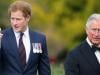 Prince Harry slammed for ‘lunging’ Prince Charles ‘under the bus’