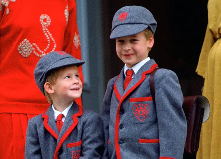 Prince William ‘would shield’ Prince Harry from Diana’s struggles: report