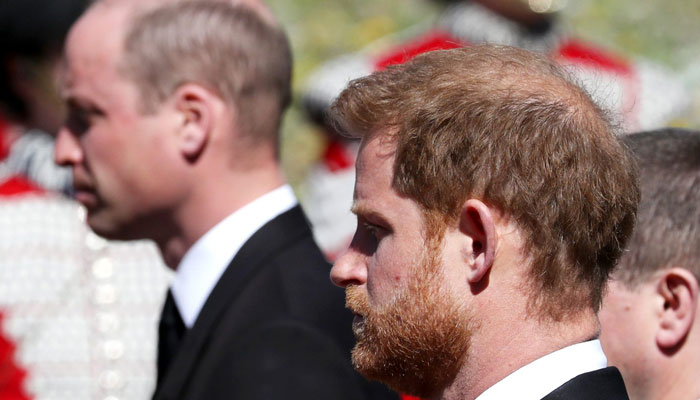 Prince William ‘would shield’ Prince Harry from Diana’s struggles: report