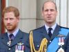 Prince William hailed for blaming ‘only himself’ for life problems: report