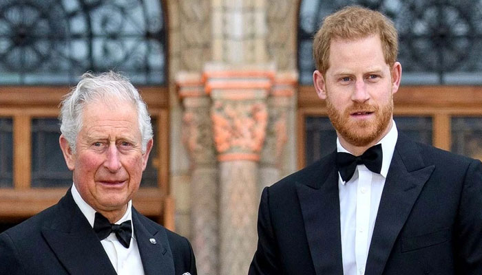 Prince Charles fued with Harry as damaging to future king as Diana