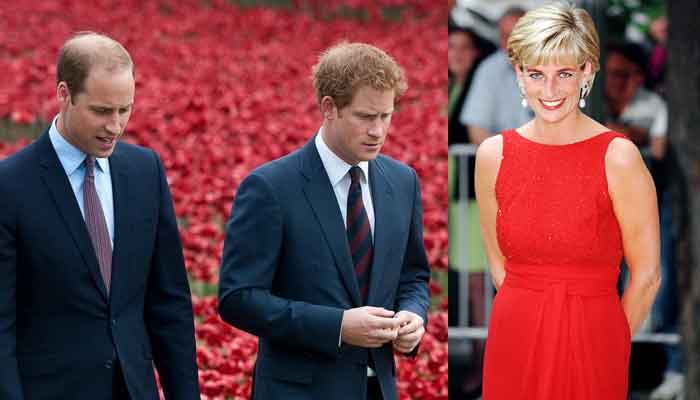 Prince Harry turned his back to Princess Diana