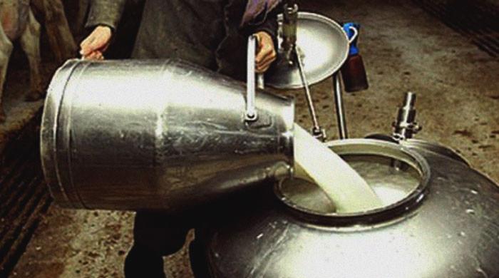 Has milk become cheaper in Karachi?