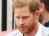 Royals ‘quaking in their boots’ over Prince Harry’s upcoming memoir