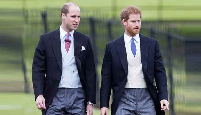 Pangeran Harry dicap ‘perintis’ setelah langkah ‘berani’ Pangeran William