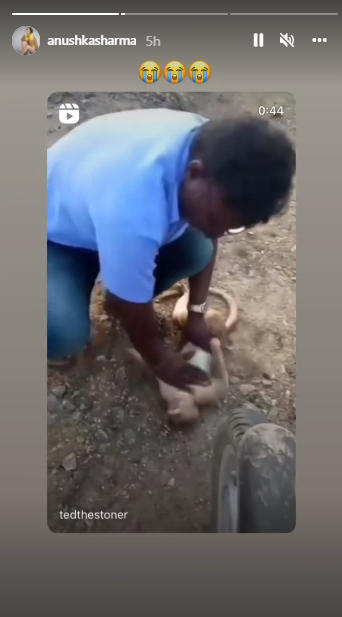 Anushka Sharma’s reaction to man saving a monkey breaks internet, watch