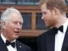 Prince Charles warned Prince Harry will ‘throw new bickbats’ in memoir: report