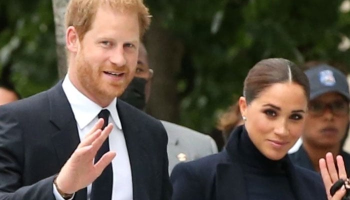 Meghan Markle, Prince Harry to ‘split’ in bid to maximize brand: report
