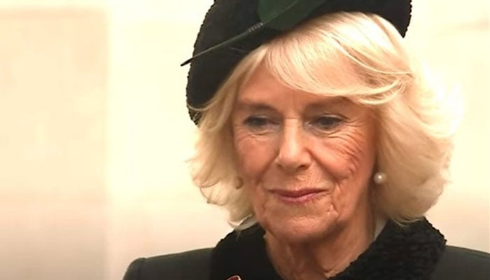 Duchess Camilla’s ‘ratty attitude’ unearthed: report’