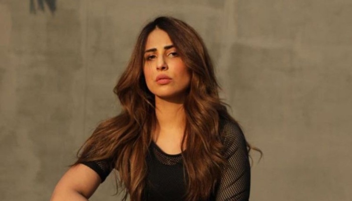 ‘Get rid of TV and social media if you think actors spread ‘vulgarity,’ Ushna Shah