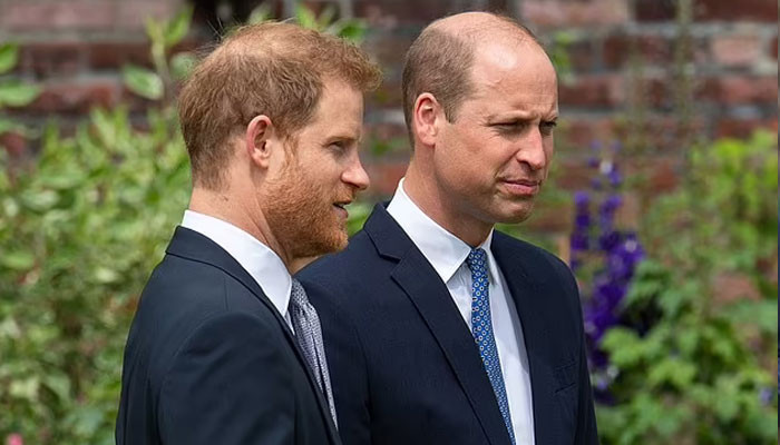 Pangeran William, Harry ‘hanya hanyut’ seiring berjalannya waktu: lapor