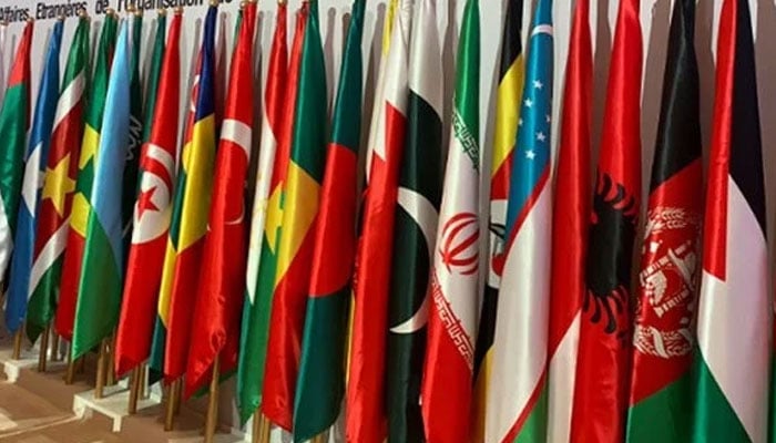 The flags of the various countries that are part of the Organisation of Islamic Cooperation. Photo: file