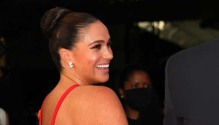 Meghan Markles new photo sparks fury, fans hit back at critics