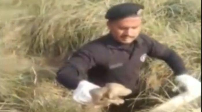 Watch: Heroic Sukkur cop rescues puppies from manhole